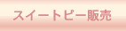 XC[gs[̔